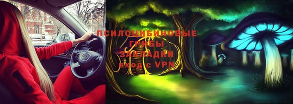 прущие крисы Алзамай