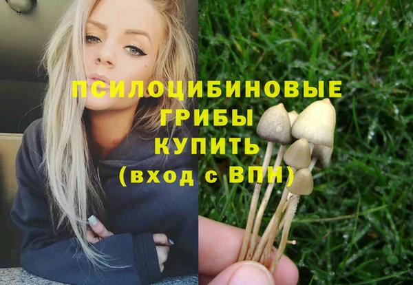 2c-b Алексин