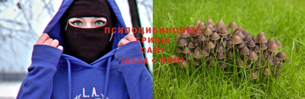 прущие крисы Алзамай