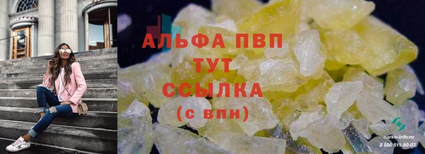 прущие крисы Алзамай