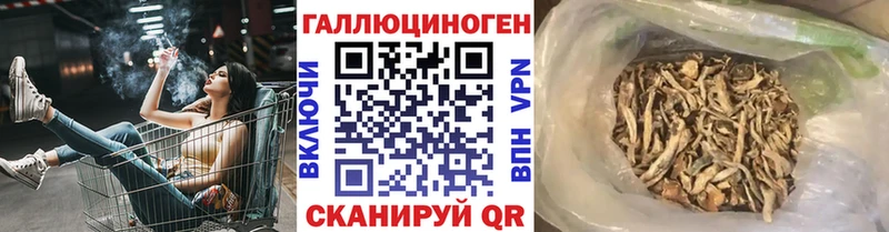 Псилоцибиновые грибы ЛСД Краснознаменск