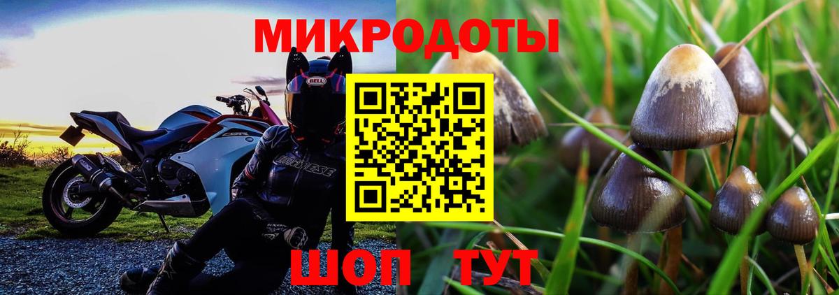 Галлюциногенные грибы Cubensis  Псилоцибиновые грибы Cubensis  Вход с VPN  Краснознаменск 