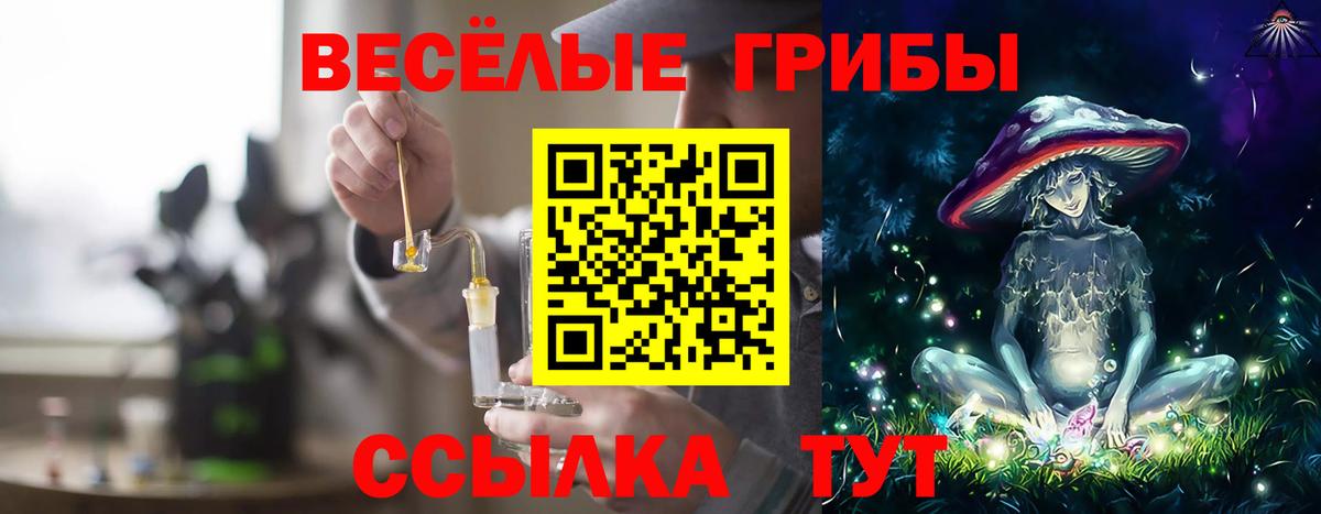 Галлюциногенные грибы MAGIC MUSHROOMS Краснознаменск